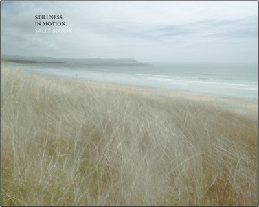 Stillness in motion